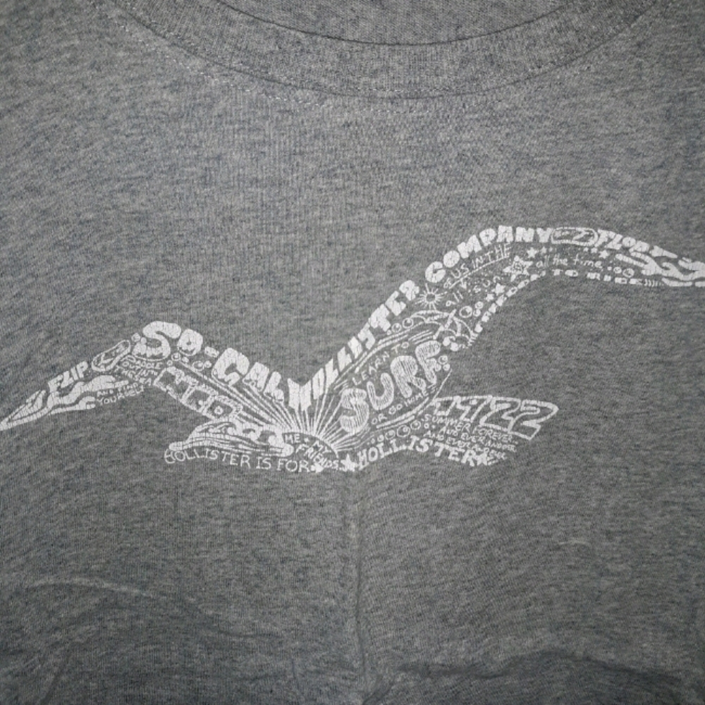 Hollister T Shirt [vintage]